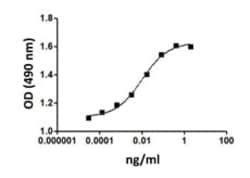 Biolegend Recombinant Mouse GM-CSF (carrier-free), Quantity: Each of 1