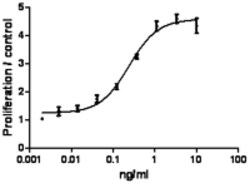 Biolegend Recombinant Rat IL-2 (carrier-free), Quantity: Each of 1
