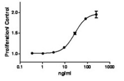 Biolegend Recombinant Mouse SCF (carrier-free), Quantity: Each of 1