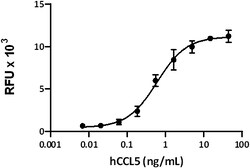 Biolegend Recombinant Human CCL5 (RANTES) (carrier-free), Quantity: Each