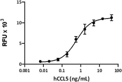 Biolegend Recombinant Human CCL5 (RANTES) (carrier-free), Quantity: Each