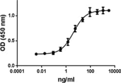 Biolegend Recombinant Human IL-17A/IL-17F (carrier-free), Quantity: Each