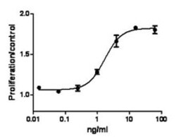 Biolegend Recombinant Mouse VEGF120 (carrier-free), Quantity: Each of 1