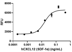 Biolegend Recombinant Human CXCL12 (SDF-1α) (carrier-free), Quantity: Each