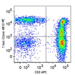 Biolegend PE anti-T-bet [4B10]; Isotype: Mouse IgG1, ; Reactivity: Human,