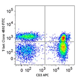 Biolegend FITC anti-T-bet [4B10]; Isotype: Mouse IgG1, ; Reactivity: Human,