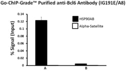Biolegend Purified anti-mouse/human Bcl-6, Quantity: Each of 1