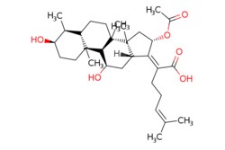eMolecules​ Fusidic acid | 6990-06-3 | MFCD00865135 | 1g, Quantity: Each