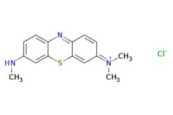 eMolecules​ Azure B? | 531-55-5 | MFCD00011935 | 25g, Quantity: Each of