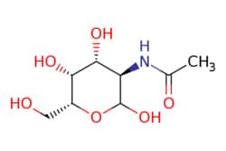 eMolecules​ N-Acetyl-D-galactosamine | 14215-68-0 | MFCD00065372 | 1g