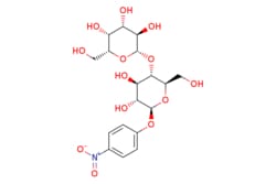 eMolecules​ P-Nitrophenyl Beta-D-Lactopyranoside | 1G | Ships from Wood