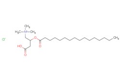 eMolecules​ Palmitoyl-DL-carnitine chloride | 250MG | Ships from Wood Dale,