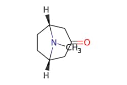 eMolecules​ 3-Tropanone | 1G | Ships from Wood Dale, IL | Chem-Impex |