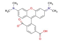 eMolecules​ 6-Carboxy-tetramethylrhodamine | 250MG | Ships from Wood Dale,