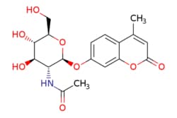 eMolecules​ 4-Methylumbelliferyl-N-acetyl-beta-D-glucosaminide | 10G |