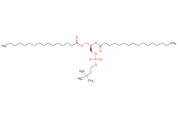 eMolecules​&nbsp;1,2-Dipalmitoyl-sn-glycero-3-phosphocholine | 63-89-8 | MFCD00036903 | 250mg