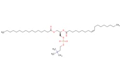 eMolecules​ L-b-Oleoyl-g-palmitoyl-a-lecithin | 26853-31-6 | MFCD00077387