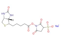 eMolecules​ Biotin 3-sulfo-N-hydroxysuccinimide ester sodium salt | 119616-38-5