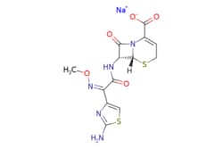 eMolecules​ Ceftizoxime sodium | 68401-82-1 | MFCD01682036 | 1g, Quantity:
