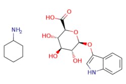 eMolecules​ Indoxyl-beta-D-glucuronide cyclohexylammonium salt | 35804-66-1