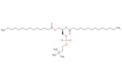 eMolecules​ 1,2-Dimyristoyl-sn-glycero-3-phosphocholine | 18194-24-6 |