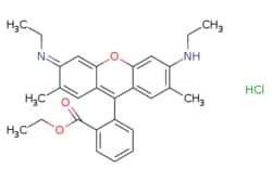 eMolecules​ Rhodamine 6G | 989-38-8 | MFCD00012665 | 25g, Quantity: Each