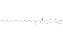 eMolecules​ 1-Palmitoyl-sn-glycero-3-phosphocholine | 17364-16-8 | MFCD00036904