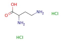 eMolecules​ DL-2,4-Diaminobutyric acid dihydrochloride | 65427-54-5 | MFCD00012910