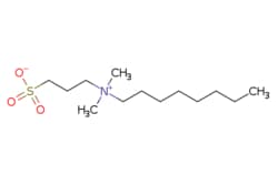 eMolecules​&nbsp;3-(Dimethyl-octylazaniumyl)propane-1-sulfonate inner salt | 15178-76-4 | MFCD00036912 | 1g