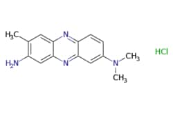 eMolecules​&nbsp;553-24-2 | Neutral red | Chem-Impex | MFCD00012651 | 288.780 | C15H17ClN4 | 0.000 | Cl.CN(C)c1ccc2nc3cc(C)c(N)cc3nc2c1 | 25g | 386903187