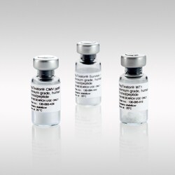 Miltenyi Biotec, Inc.&nbsp;PepTivator HHV1 Env. glyco D