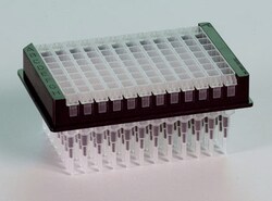 Miltenyi Biotec, Inc.&nbsp;Multi-8 Columns, molecular (12×8)