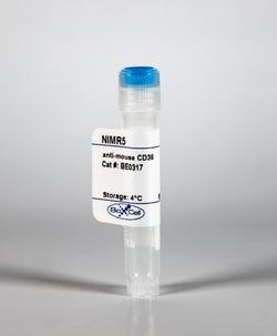 Bio X Cell InVivoMAb, anti-mouse CD38, Clone NIMR5, 1 MG, Quantity: Each