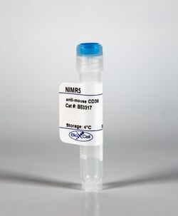Bio X Cell Anti-Mouse CD38, NIMR5, Rat IgG2a, 25 MG, Quantity: Each of