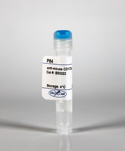 Bio X Cell Anti-mouse CD172a P84 Antibody, 5 MG, Quantity: Each of 1