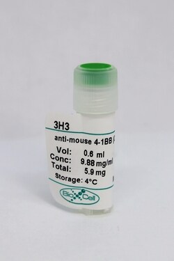Bio X Cell Monoclonal Antibody, Clone 3H3, Mouse 4-1BB (CD137), Rat IgG2a,
