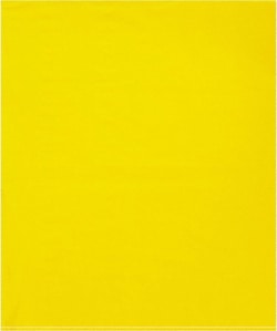 MSC FLAT POLY BAG, Quantity: Pack of 1000