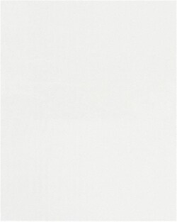 MSC POLYPROPYLENE FLAT BAG, Quantity: Pack of 5000