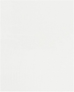 MSC POLYPROPYLENE FLAT BAG, Quantity: Pack of 1000