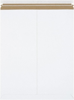 MSC SELF-SEAL FLAT MAILER, Quantity: Pack of 100