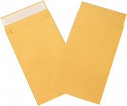 MSC Dupont Tyvek Envelope, 10 x 15 x 2 in, 100/Pk, Quantity: Pack of 100