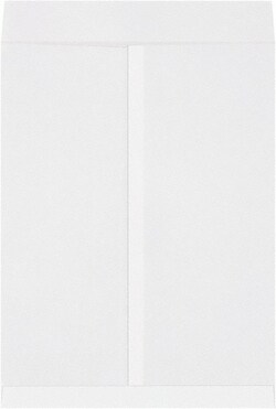 MSC JUMBO ENVELOPE | Buy Online | MSC | Fisher Scientific
