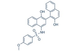 Selleck Chemical LLC C188-9 5mg 432001-19-9, Quantity: Each of 1