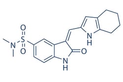 Selleck Chemical LLC SU6656 5mg 330161-87-0, Quantity: Each of 1