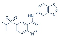 Selleck Chemical LLC GSK'872 (GSK2399872A) 5mg 1346546-69-7, Quantity:
