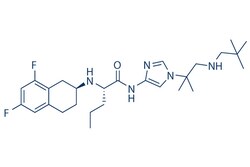 Selleck Chemical LLC Nirogacestat (PF-03084014) 5mg 1290543-63-3 PF-3084014,