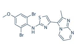 Selleck Chemical LLC PTC-209 2mg 315704-66-6, Quantity: Each of 1