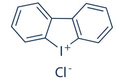 Selleck Chemical LLC Diphenyleneiodonium chloride (DPI) 10mg 4673-26-1,