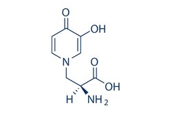 Selleck Chemical LLC L-Mimosine 25mg 500-44-7 Leucenol, Quantity: Each