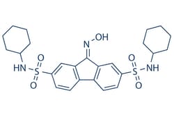 Selleck Chemical LLC FIN56 5mg 1083162-61-1, Quantity: Each of 1